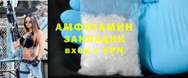 прущие грибы Приозерск