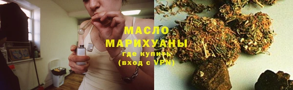 индика Карпинск