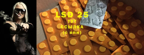 прущие грибы Покров