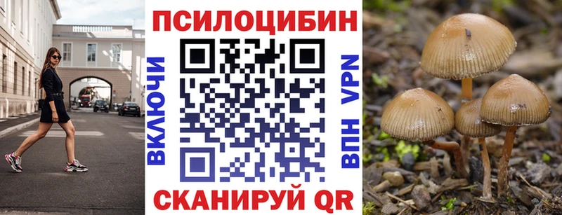 Галлюциногенные грибы ЛСД магазин продажи наркотиков блэк спрут ONION Новоаннинский